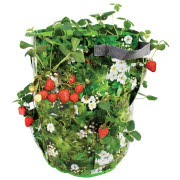 Serwetki papierowe, H&M HOME, 6,90 zł