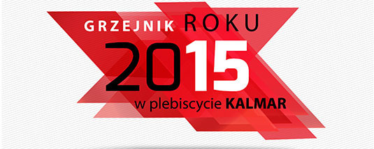 Wybierz grzejnik roku w plebiscycie Kalmar! 