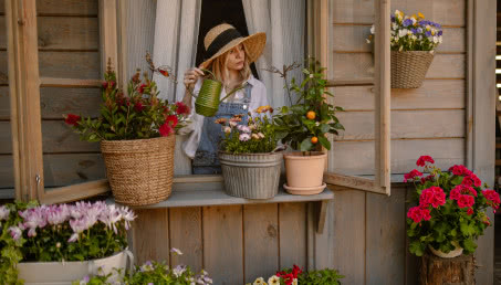 Pelargonie na balkonie - jak uprawiać je zdrowo i efektownie?