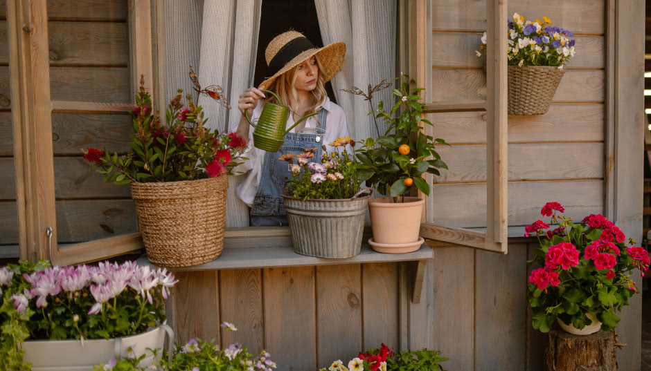 Pelargonie na balkonie - jak uprawiać je zdrowo i efektownie?