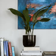 Czteropokojowe mieszkanie na warszawskim Mokotowie