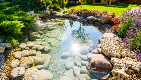 Oczko wodne - czy sprawdzi się w przydomowym ogrodzie?