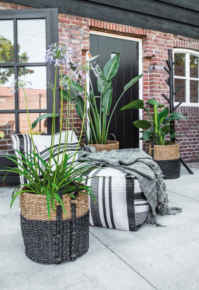 Wnętrze pełne zielonych roślin, cegła na ścianie, osłonki na donice