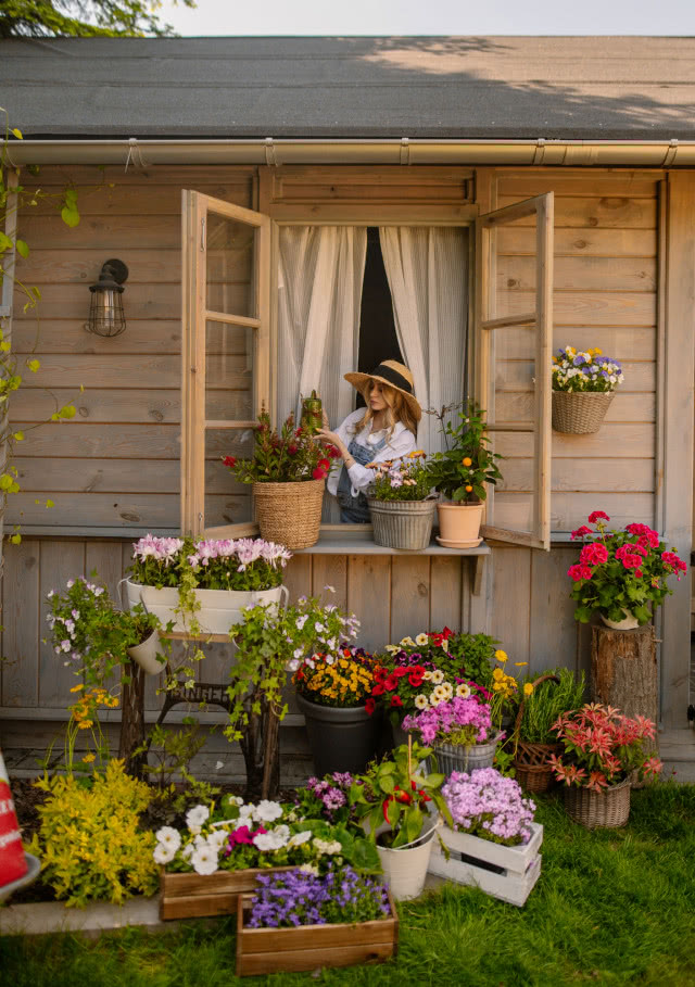 dobór donic do roślin