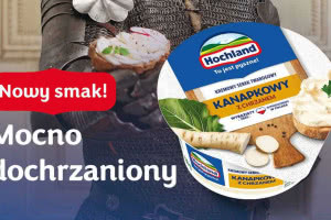 Hochland Kanapkowy z chrzanem - kremowa baza do kanapek, burgerów i dipów