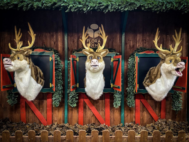 Najbardziej magiczne miejsce na świątecznej mapie Polski