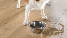 Wodoodporne panele Quick-Step