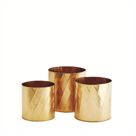 Doniczki Harlequin, Madam Stolz