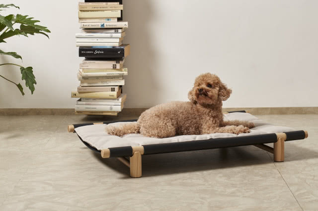 designerskie legowisko dla psa
