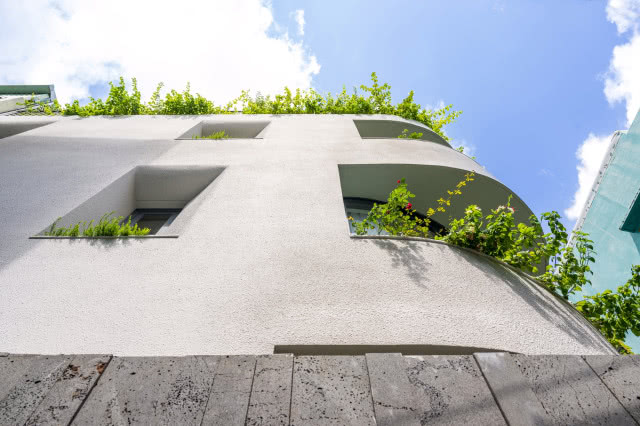 ogród na dachu - widok z dołu