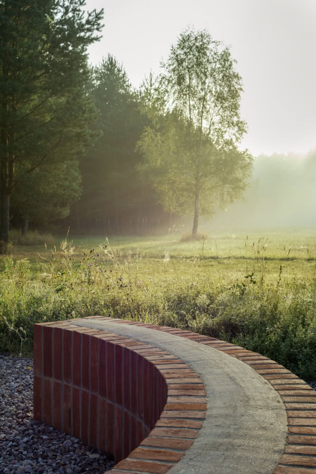 widok z paleniska na drzewa
