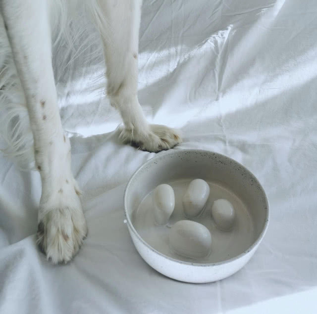 miska dla psa ceramiczna spowalniająca jedzenie