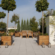 Ogród na tarasie warszawskiego mieszkania