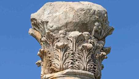 Ornament liść akantu. Z kolumny do wnętrz