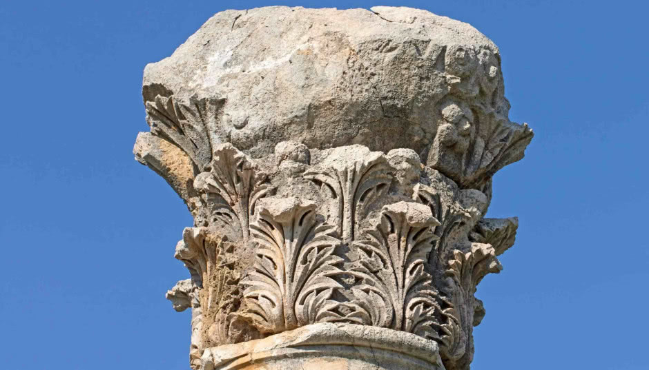 Ornament liść akantu. Z kolumny do wnętrz