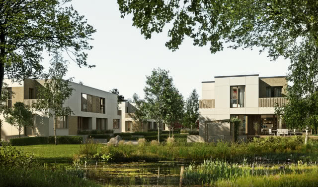 domy, oczko wodne, trawniki, drzewa