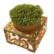 Kontrolowany kontrast - w krzesłach i hockerach...