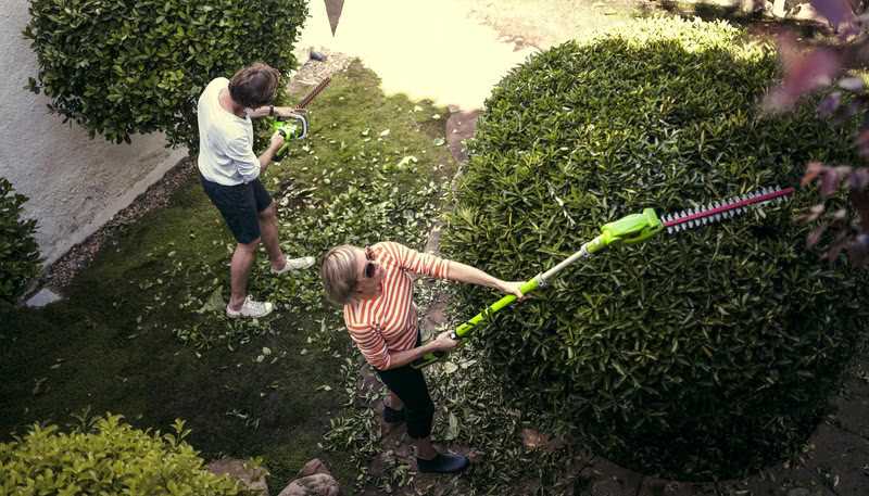 Sierpień w ogrodzie - jakie prace musimy wykonać?
