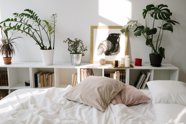 Monstera w sypialni aranżacja