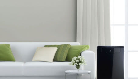 Czysty dom, czyste powietrze - proste sposoby na radzenie sobie ze smogiem