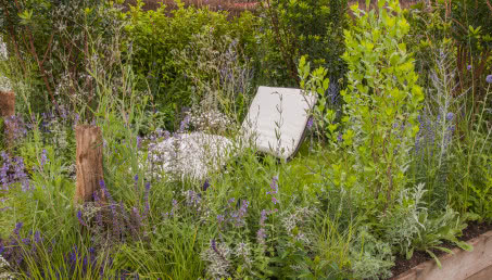 Ogród jak rajska łąka