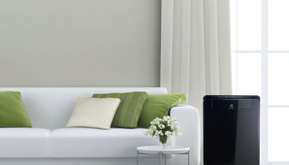 Czysty dom, czyste powietrze - proste sposoby na radzenie sobie ze smogiem