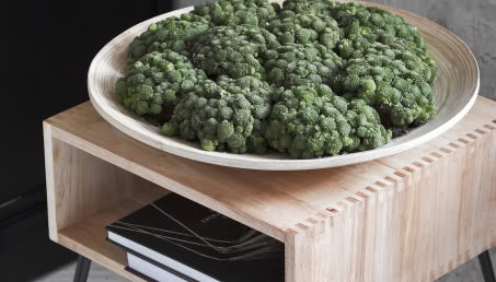 Rośliny o różnobarwnych liściach