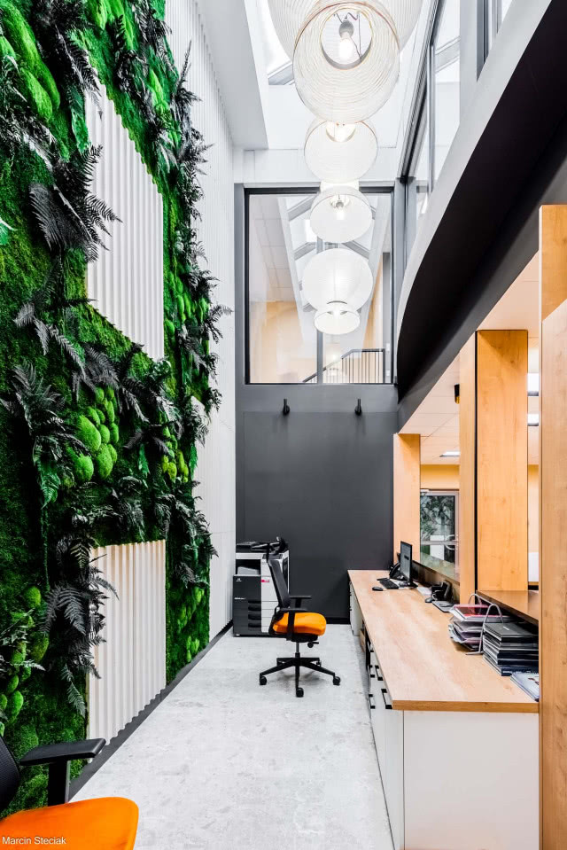 Zielona ściana z roślin w biurze