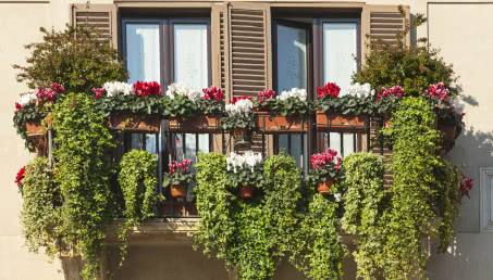 Balkon cały we kwiatach