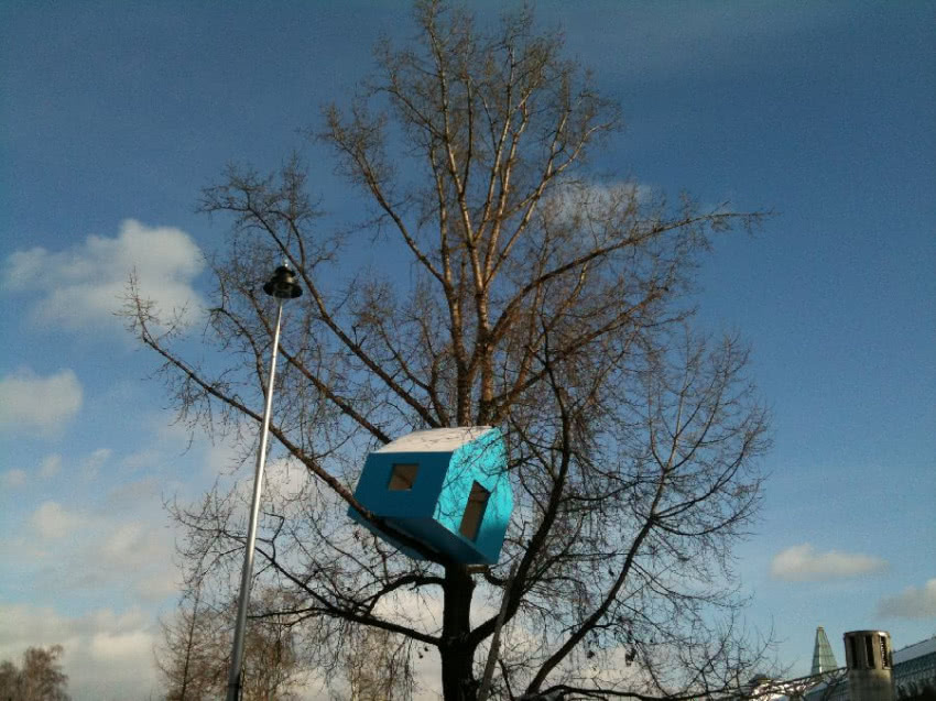 "Dom na drzewie", instalacja, Warszawa, BUW,...