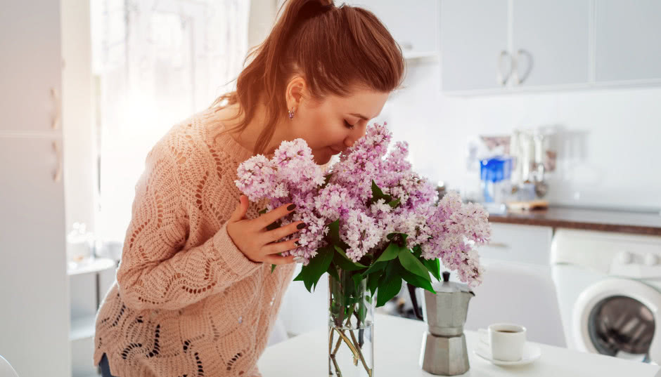 Roślinni przyjaciele domu - rośliny oczyszczające powietrze