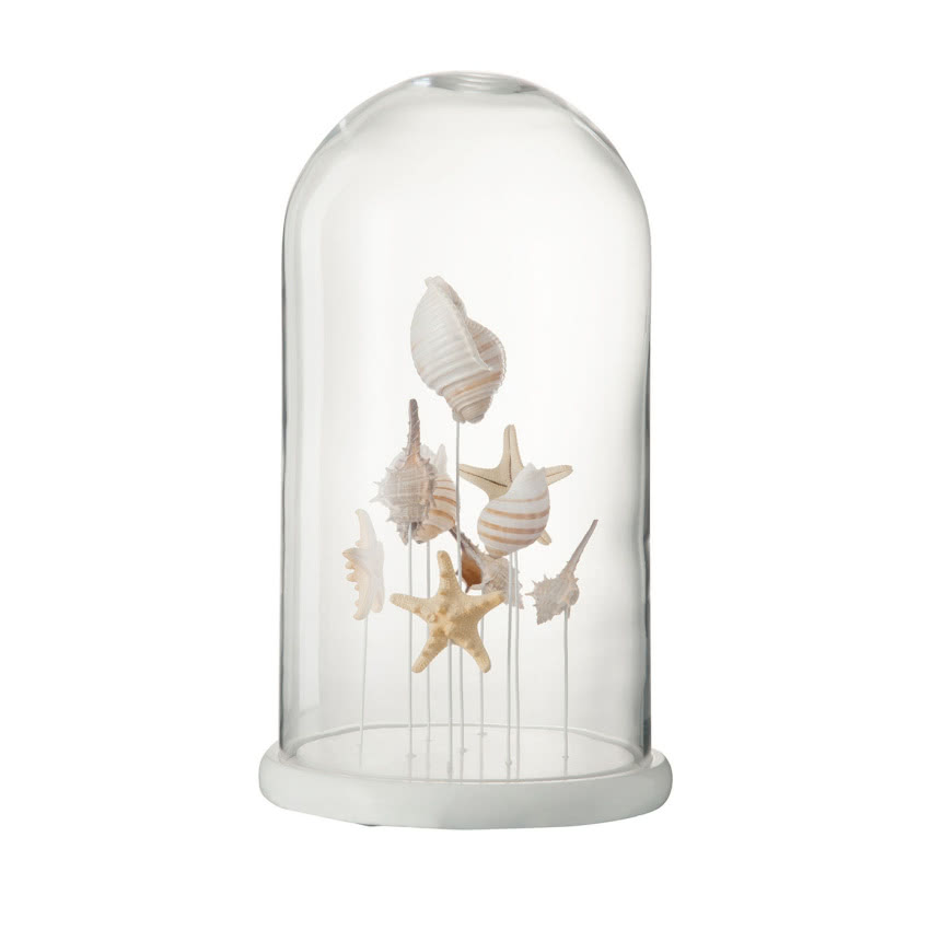 Szklany klosz
Shell,WESTWING
NOW, 519,90 zł