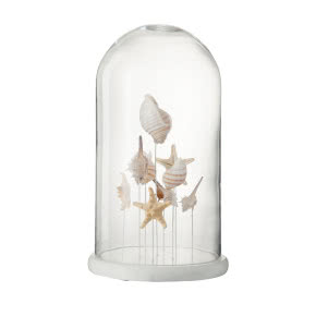 Morskie dodatki do wnętrz- woda, muszle, a może rafa?