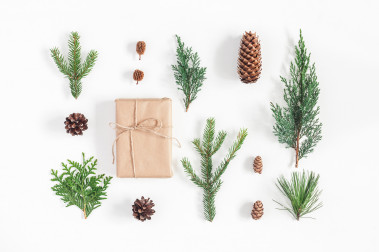 Święta w doniczce - 12 pomysłów na gwiazdkowe dekoracje