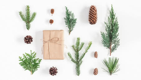 Święta w doniczce - 12 pomysłów na gwiazdkowe dekoracje