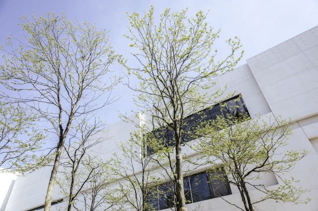 Nowa siedziba Muzeum Sztuki Nowoczesnej w Warszawie