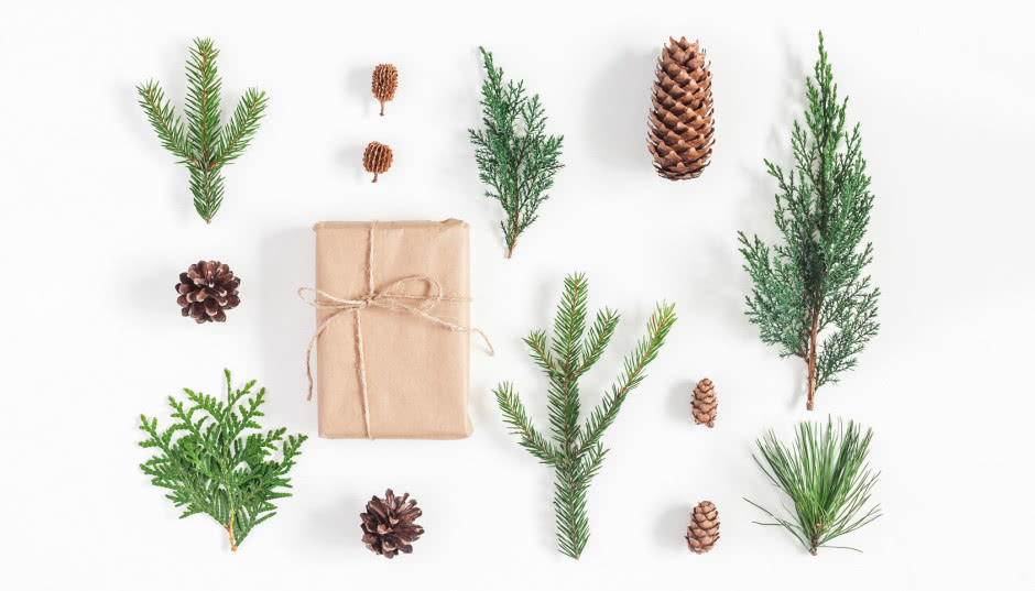 Święta w doniczce - 12 pomysłów na gwiazdkowe dekoracje