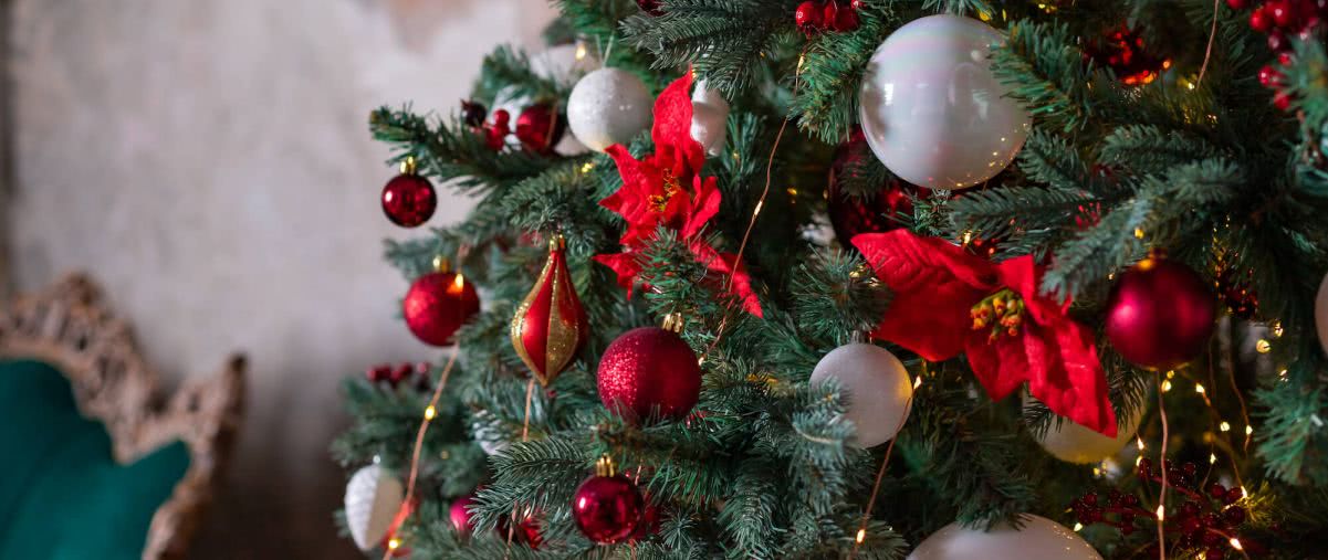 Skąd się wzięła tradycja ubierania choinki? Iglak na święta