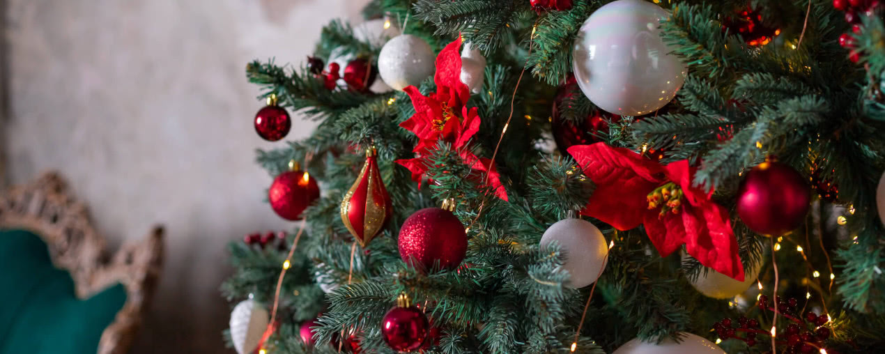 Skąd się wzięła tradycja ubierania choinki? Iglak na święta