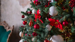 Skąd się wzięła tradycja ubierania choinki? Iglak na święta