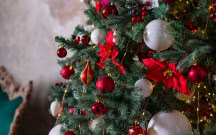 Skąd się wzięła tradycja ubierania choinki? Iglak na święta