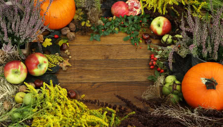 Jakie kwiaty kwitną jesienią?