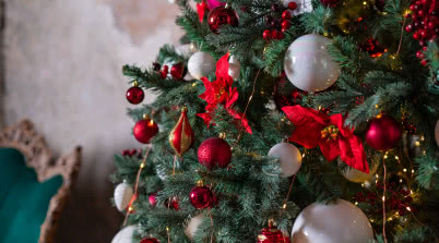 Skąd się wzięła tradycja ubierania choinki? Iglak na święta