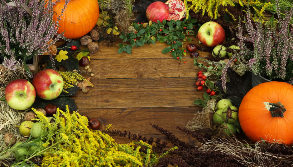 Jakie kwiaty kwitną jesienią?