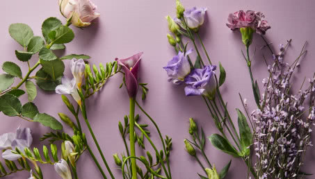 Fioletowe kwiaty - gatunki roślin w kolorze roku 2022