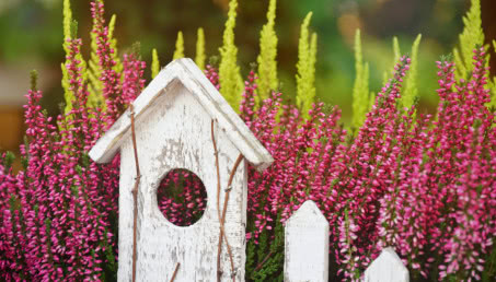 Jesienne dekoracje - wrzosy w roli głównej