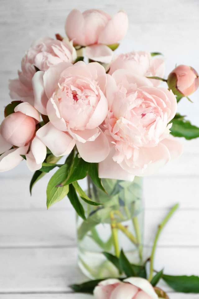 bukiet peonii w wazonie