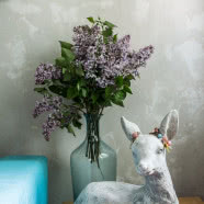 Kolorowe mieszkanie Klementyny Frydrych