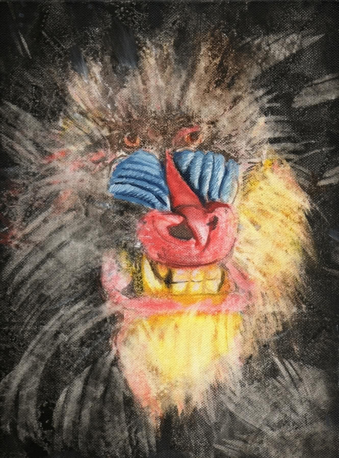 Michał Szuszkiewicz "Trans" 2009