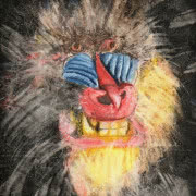 Magdalena Starska "no title" ("we are happy to...